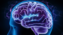 Neuroplasticidade Sexual: Desvende o Potencial do Seu Prazer